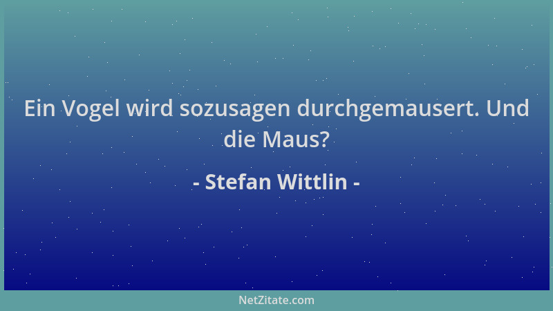 Stefan Wittlin - Ein Vogel wird sozusagen durchgemausert. Und die Maus?...