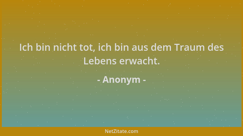 Anonym - Ich bin nicht tot, ich bin aus dem Traum des Lebens erwacht....