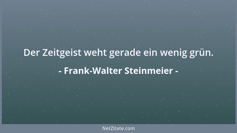 Frank-Walter Steinmeier - Der Zeitgeist weht gerade ein wenig grün....