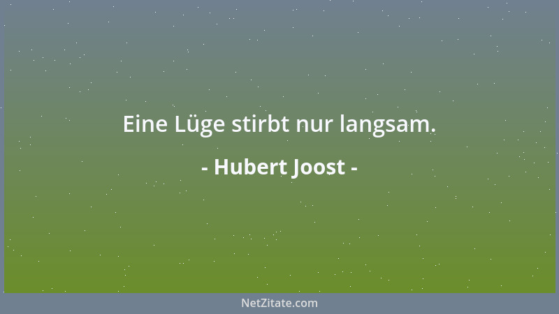 Hubert Joost - Eine Lüge stirbt nur langsam....