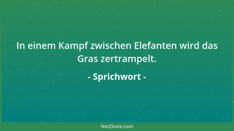Sprichwort - Keine schöne Frau zieht einen Vorhang vors Gesicht....
