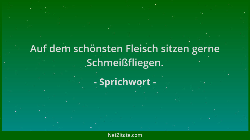 Sprichwort - Auf dem schönsten Fleisch sitzen gerne Schmeißfliegen....