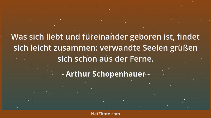 Arthur Schopenhauer - In Hinsicht auf unser Wohl und Wehe kommt es in letzter Instanz darauf an, womit das Bewusstsein erfü...