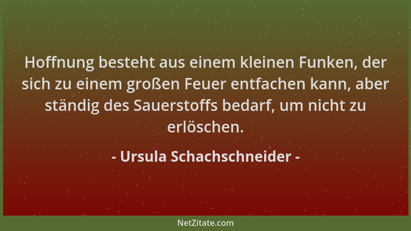 Ursula Schachschneider - Hoffnung besteht aus einem kleinen Funken, der sich zu einem großen Feuer entfachen kann, aber stä...