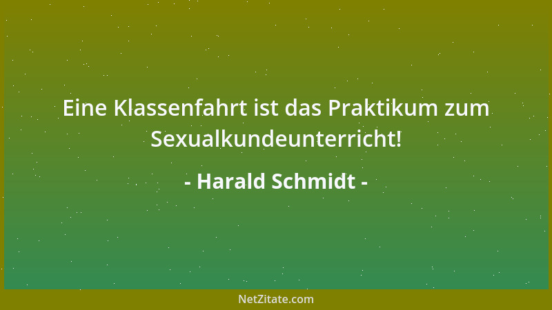 Harald Schmidt - Eine Klassenfahrt ist das Praktikum zum Sexualkundeunterricht!...