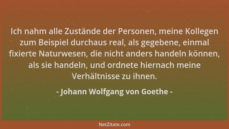 Johann Wolfgang von Goethe - Ich nahm alle Zustände der Personen, meine Kollegen zum Beispiel durchaus real, als gegebene,...