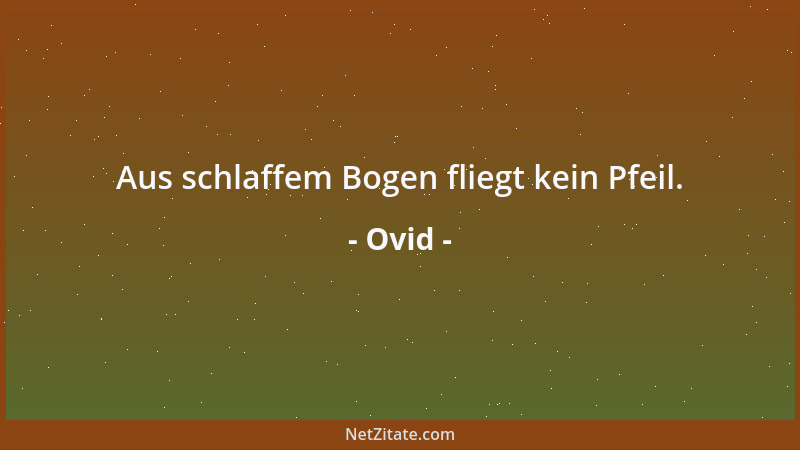 Ovid - Aus schlaffem Bogen fliegt kein Pfeil....