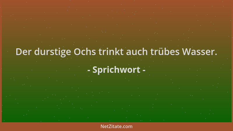 Sprichwort - Der durstige Ochs trinkt auch trübes Wasser....