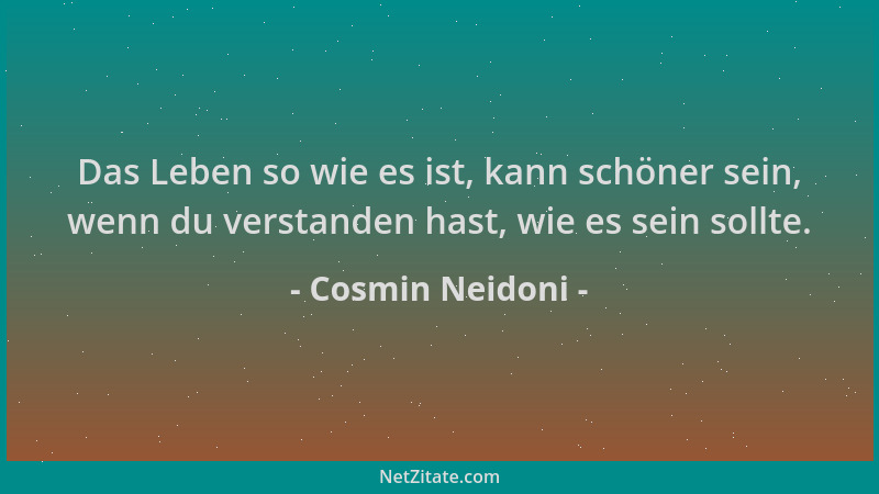 Cosmin Neidoni - Das Leben so wie es ist, kann schöner sein, wenn du verstanden hast, wie es sein sollte....