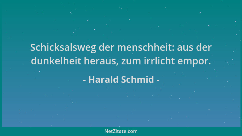 Harald Schmid - Schicksalsweg der menschheit: aus der dunkelheit heraus, zum irrlicht empor....