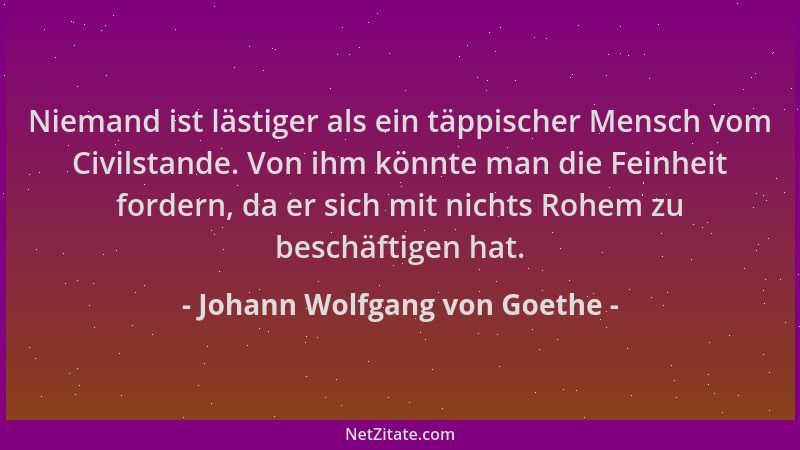 Johann Wolfgang von Goethe - Niemand ist lästiger als ein täppischer Mensch vom Civilstande. Von ihm könnte man die Feinhei...