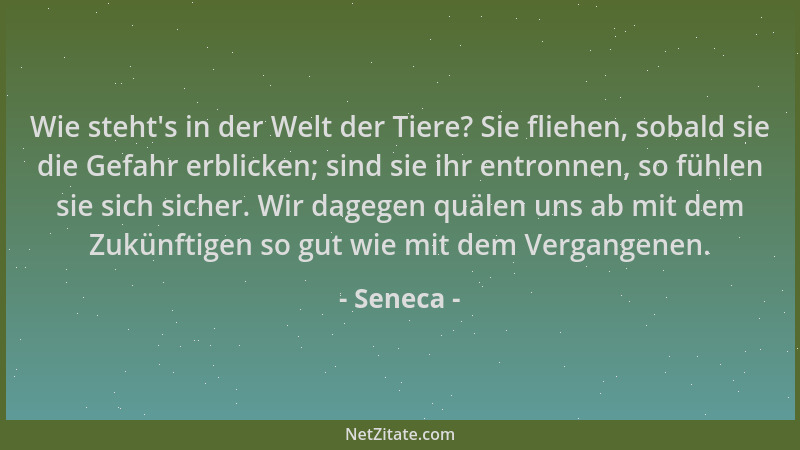 Seneca - Wie steht 's in der Welt der Tiere? Sie fliehen, sobald sie die Gefahr erblicken; sind sie ihr entronnen, so fühlen...
