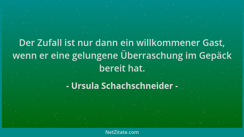 Ursula Schachschneider - Der Zufall ist nur dann ein willkommener Gast, wenn er eine gelungene Überraschung im Gepäck berei...