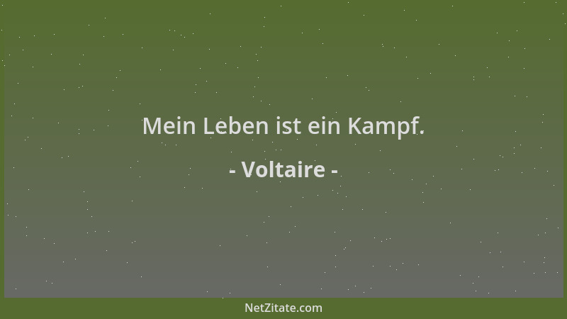 Voltaire - Mein Leben ist ein Kampf....