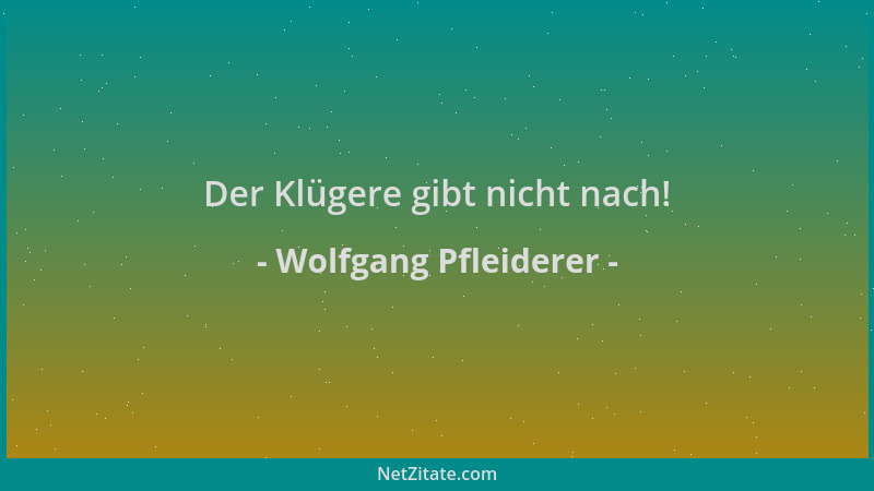 Wolfgang Pfleiderer - Der Klügere gibt nicht nach!...