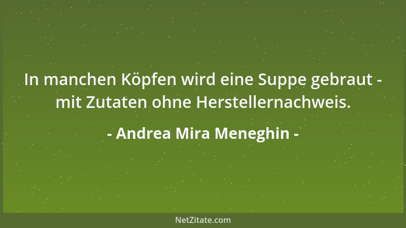Andrea Mira Meneghin - In manchen Köpfen wird eine Suppe gebraut - mit Zutaten ohne Herstellernachweis....