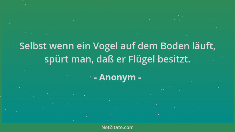 Anonym - Selbst wenn ein Vogel auf dem Boden läuft, spürt man, daß er Flügel besitzt....