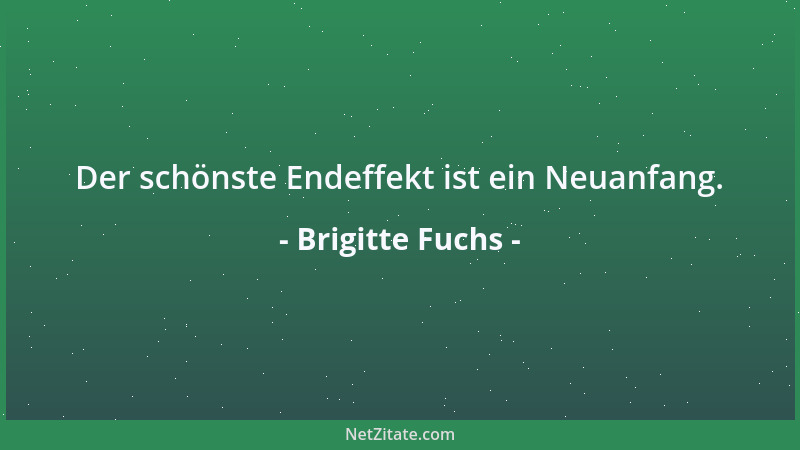 Brigitte Fuchs - Über Strategie weiß die Katze mehr als jeder andere Feldherr....