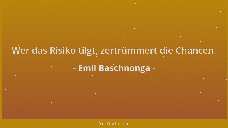 Emil Baschnonga - Wer das Risiko tilgt, zertrümmert die Chancen....