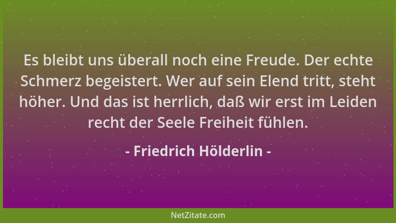 Friedrich Hölderlin - Es bleibt uns überall noch eine Freude. Der echte Schmerz begeistert. Wer auf sein Elend tritt, steht...