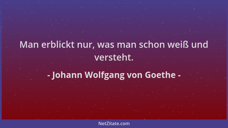 Johann Wolfgang von Goethe - Man erblickt nur, was man schon weiß und versteht....