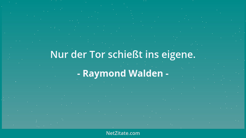 Raymond Walden - Nur der Tor schießt ins eigene....