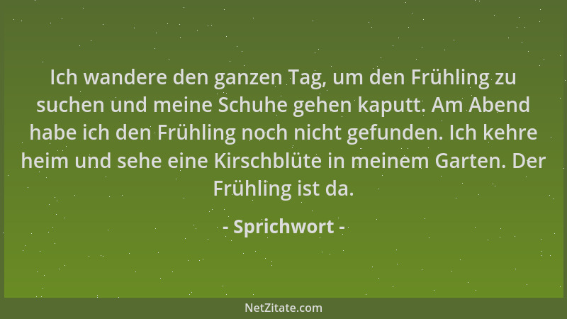Sprichwort - Ich wandere den ganzen Tag, um den Frühling zu suchen und meine Schuhe gehen kaputt. Am Abend habe ich den Frü...