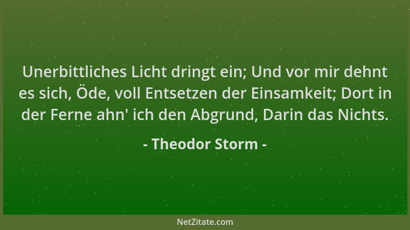 Theodor Storm - Unerbittliches Licht dringt ein; Und vor mir dehnt es sich, Öde, voll Entsetzen der Einsamkeit; Dort in der...