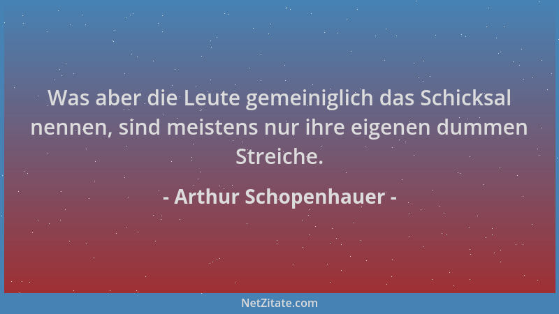 Arthur Schopenhauer - Was aber die Leute gemeiniglich das Schicksal nennen, sind meistens nur ihre eigenen dummen Streiche....