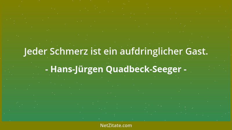 Hans-Jürgen Quadbeck-Seeger - Jeder Schmerz ist ein aufdringlicher Gast....