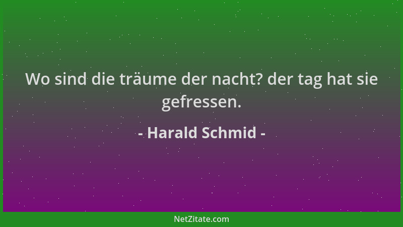 Harald Schmid - Wo sind die träume der nacht? der tag hat sie gefressen....