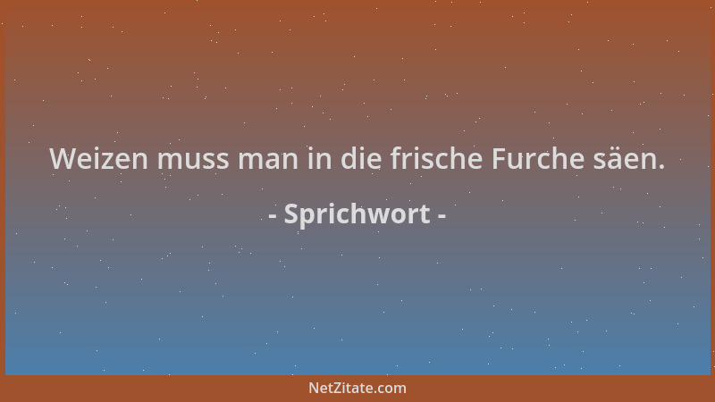 Sprichwort - Weizen muss man in die frische Furche säen....