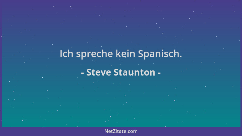 Steve Staunton - Ich spreche kein Spanisch....