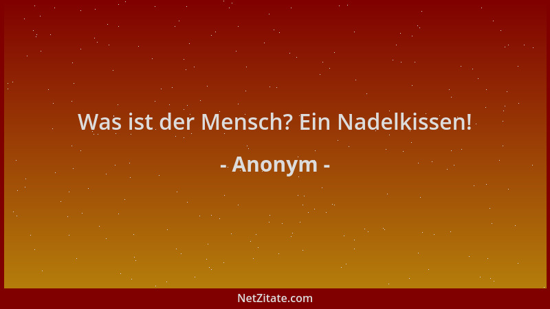 Anonym - Was ist der Mensch? Ein Nadelkissen!...