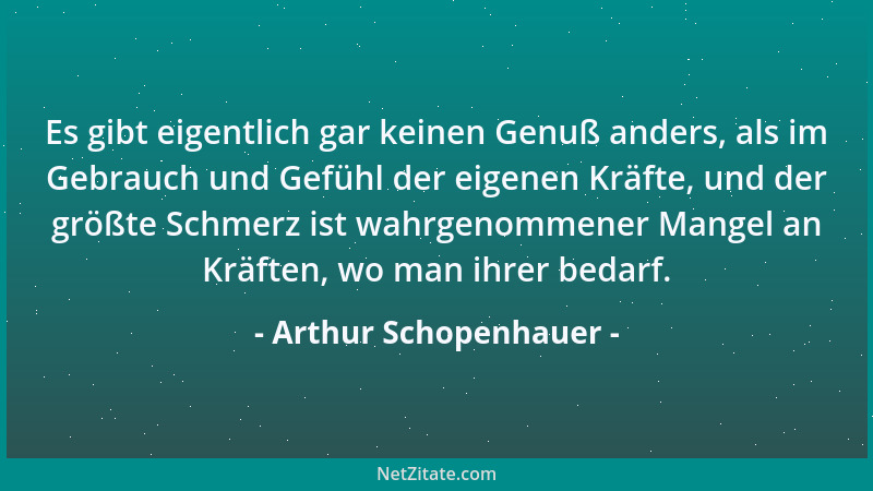 Arthur Schopenhauer - Der Inhalt der Geschichte sind die europäischen Katzbalgereien....