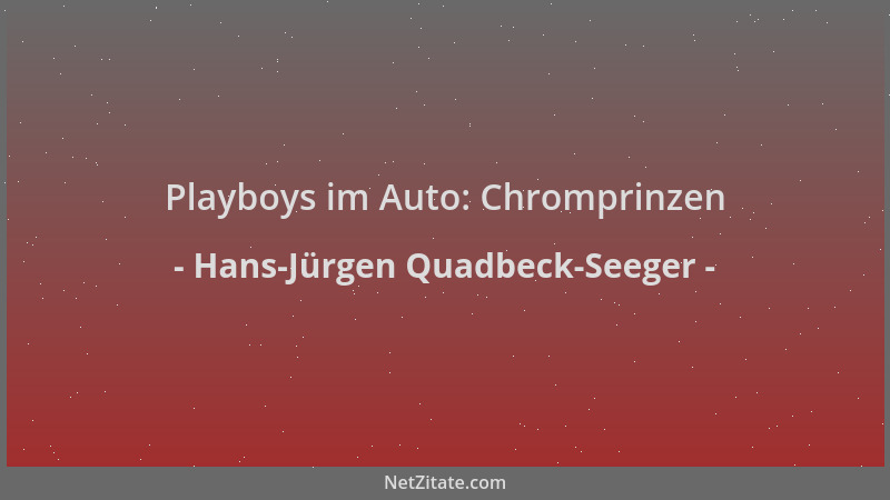 Hans-Jürgen Quadbeck-Seeger - Playboys im Auto: Chromprinzen...