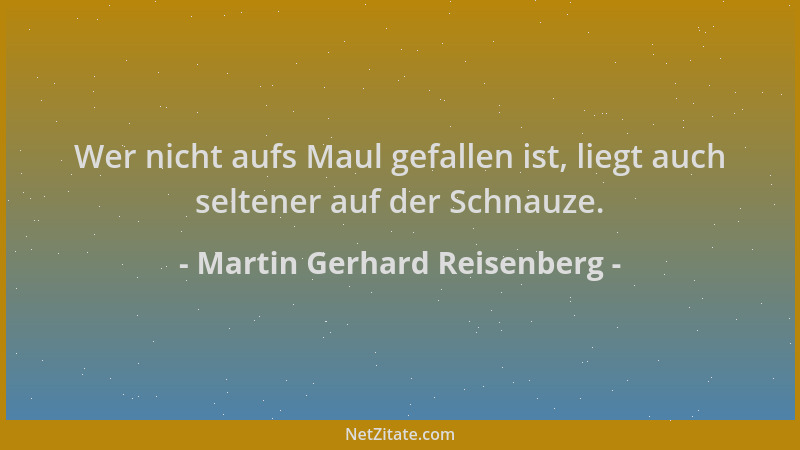 Martin Gerhard Reisenberg - Wer nicht aufs Maul gefallen ist, liegt auch seltener auf der Schnauze....