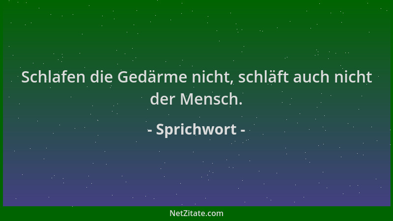 Sprichwort - Schlafen die Gedärme nicht, schläft auch nicht der Mensch....