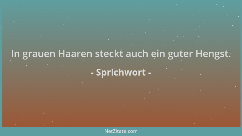 Sprichwort - In grauen Haaren steckt auch ein guter Hengst....