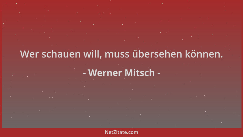 Werner Mitsch - Wer schauen will, muss übersehen können....