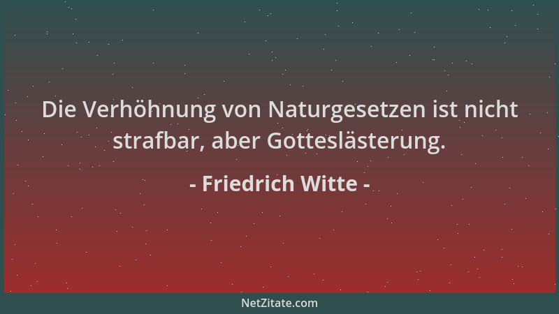 Friedrich Witte - Die Verhöhnung von Naturgesetzen ist nicht strafbar, aber Gotteslästerung....
