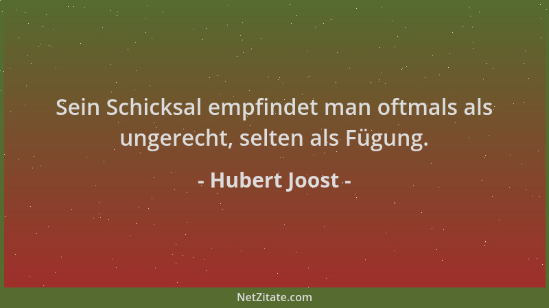 Hubert Joost - Sein Schicksal empfindet man oftmals als ungerecht, selten als Fügung....