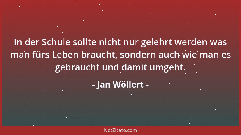 Jan Wöllert - In der Schule sollte nicht nur gelehrt werden was man fürs Leben braucht, sondern auch wie man es gebraucht u...
