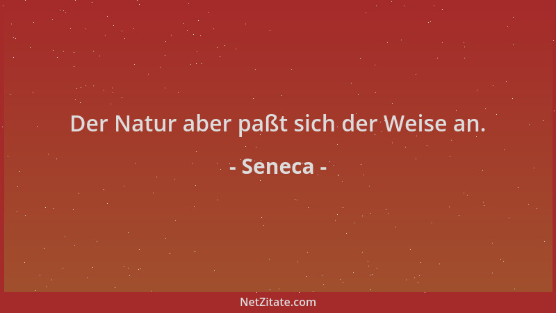 Seneca - Der Natur aber paßt sich der Weise an....