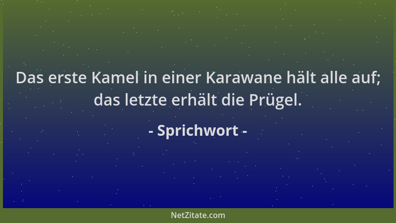 Sprichwort - Das erste Kamel in einer Karawane hält alle auf; das letzte erhält die Prügel....