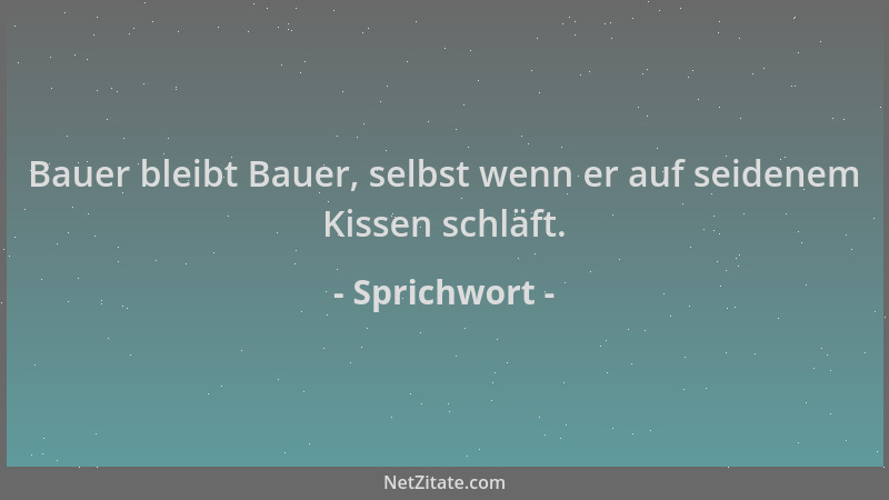 Sprichwort - Bauer bleibt Bauer, selbst wenn er auf seidenem Kissen schläft....