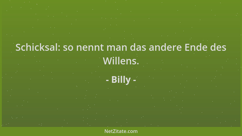 Billy - Schicksal: so nennt man das andere Ende des Willens....