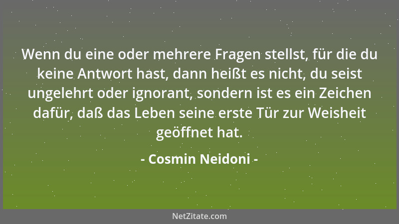 Cosmin Neidoni - Nur wenige von uns leben, die meisten existieren bloß!...