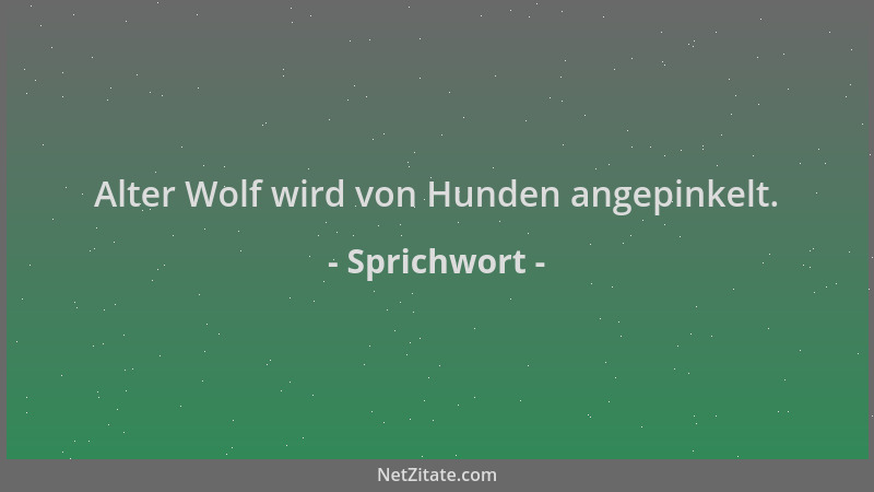 Sprichwort - Alter Wolf wird von Hunden angepinkelt....