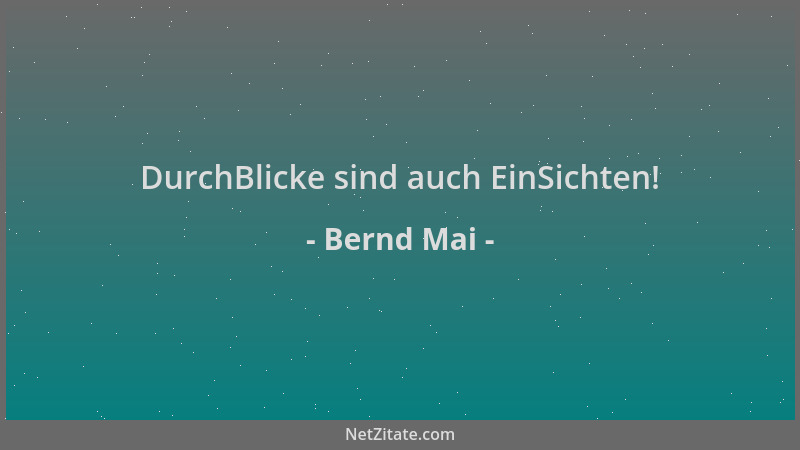 Bernd Mai - DurchBlicke sind auch EinSichten!...